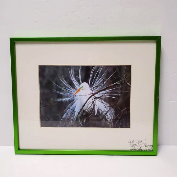 Framed Egret Photograph Print, signed Paulette Thomas, Matted, Bird Art - Picture 1 of 7